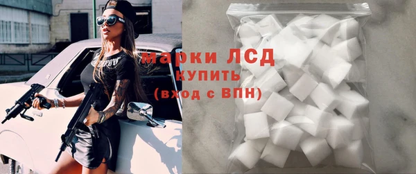 хмурый Алексин