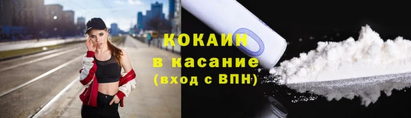 гашик Алзамай