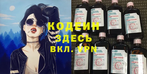 хмурый Алексин
