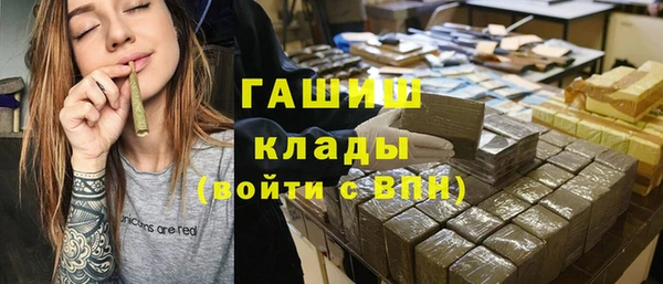 хмурый Алексин