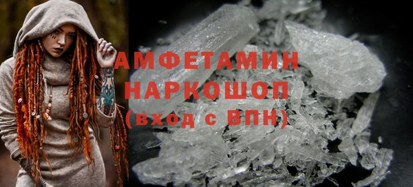 хмурый Алексин