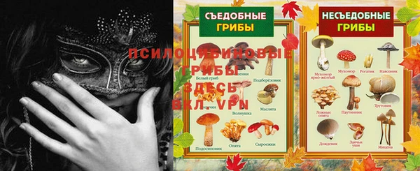 хмурый Алексин