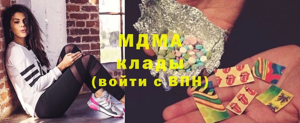 хмурый Алексин