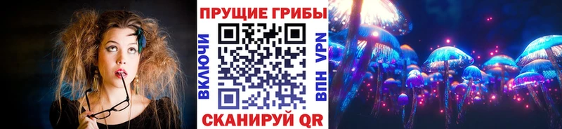 Галлюциногенные грибы мицелий  Купить закладки  Тимашёвск 